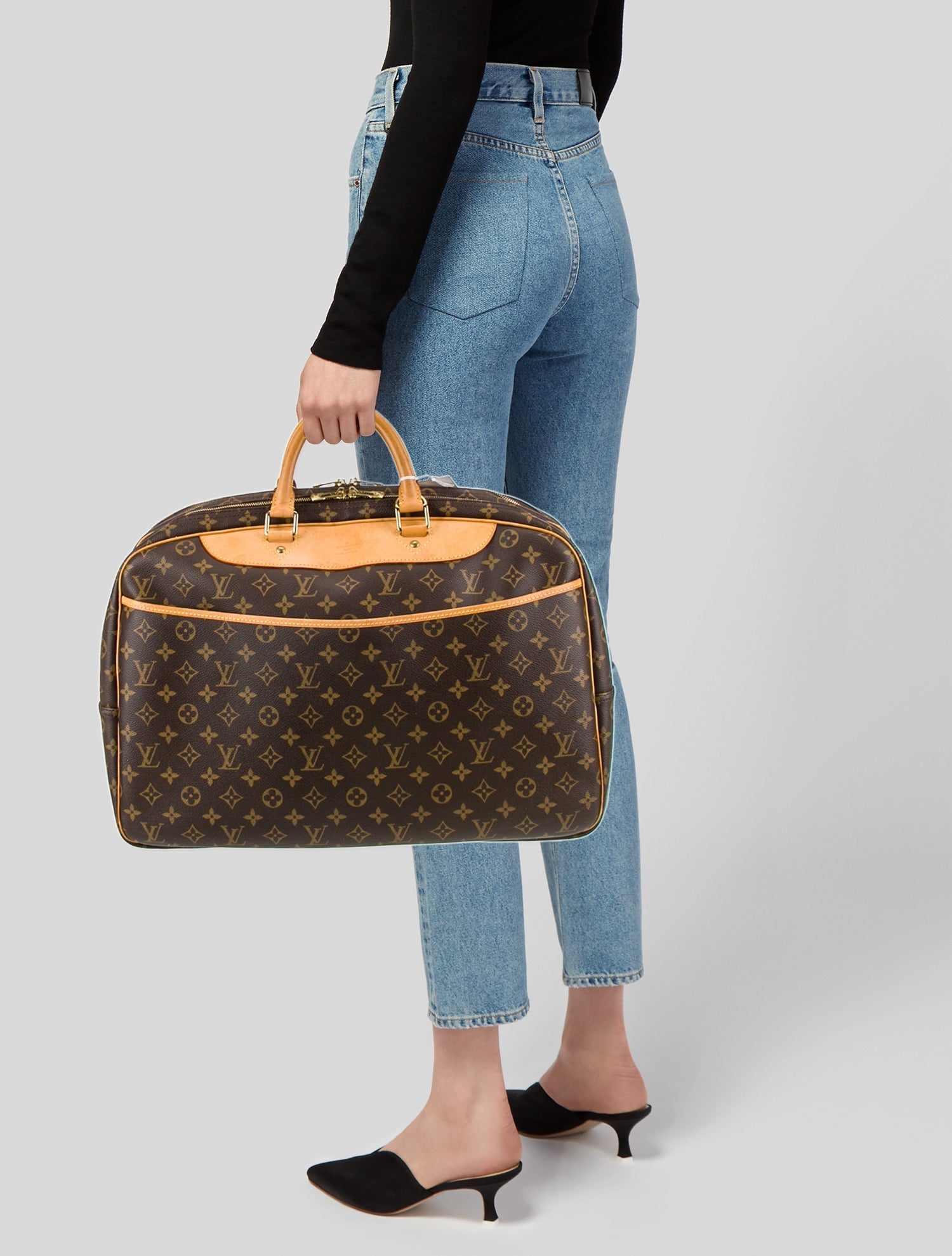Louis Vuitton LV Monogram Alizé