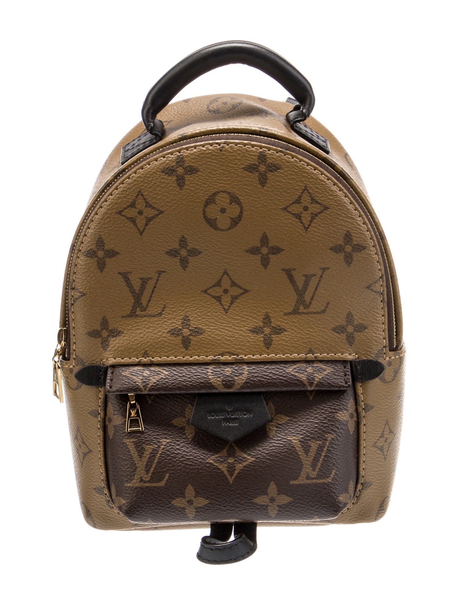 Louis Vuitton LV Monogram Palm Springs Mini