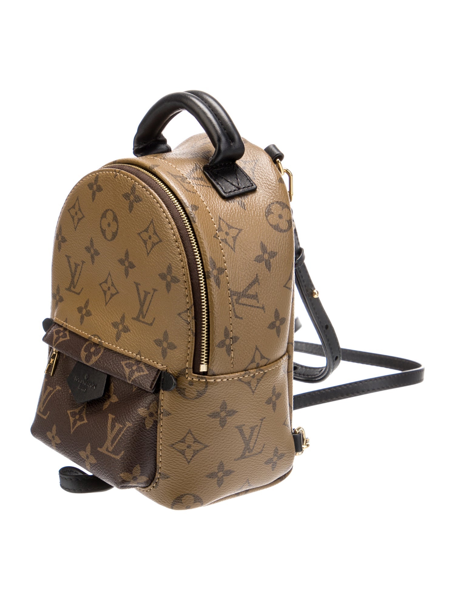 Louis Vuitton LV Monogram Palm Springs Mini