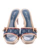 Louis Vuitton LV Monogram Denim Slides