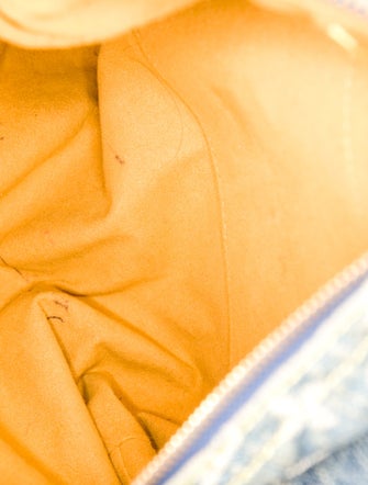 Louis Vuitton LV Monogram Baggy PM