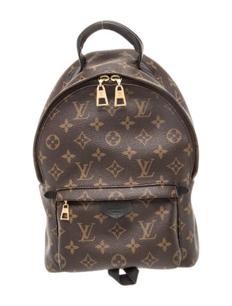 Louis Vuitton LV Monogram Palm Springs PM
