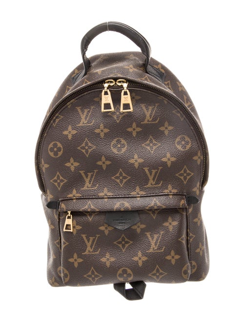 Louis Vuitton LV Monogram Palm Springs PM