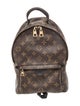 Louis Vuitton LV Monogram Palm Springs PM
