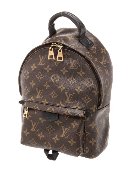 Louis Vuitton LV Monogram Palm Springs PM