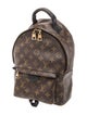 Louis Vuitton LV Monogram Palm Springs PM