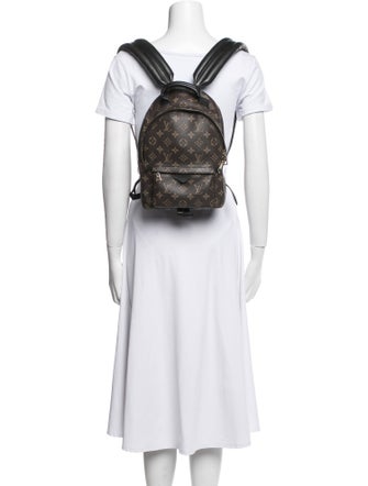 Louis Vuitton LV Monogram Palm Springs PM