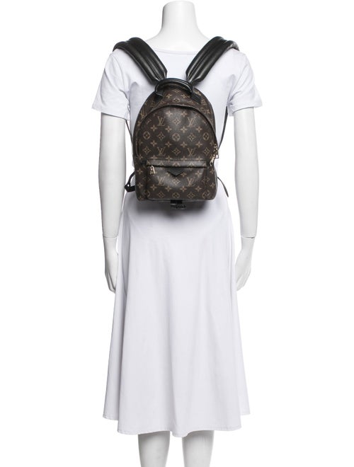 Louis Vuitton LV Monogram Palm Springs PM