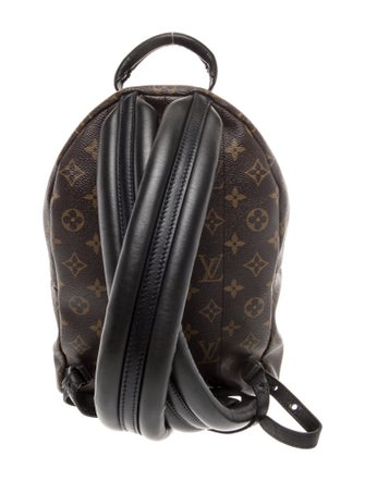Louis Vuitton LV Monogram Palm Springs PM