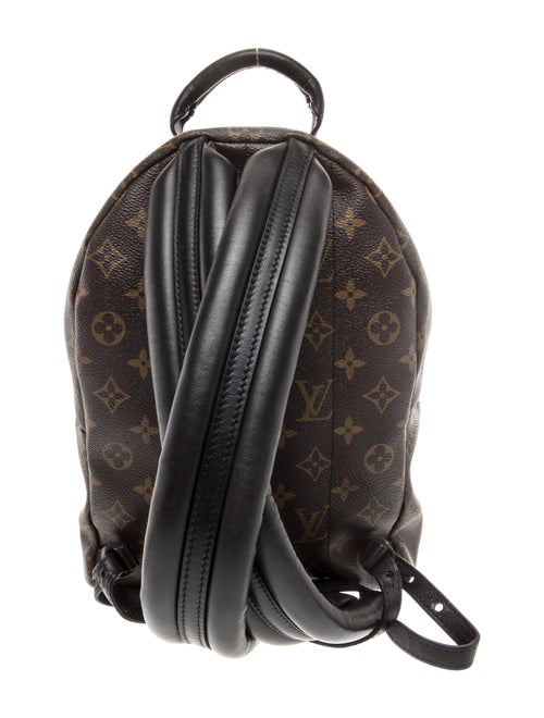 Louis Vuitton LV Monogram Palm Springs PM