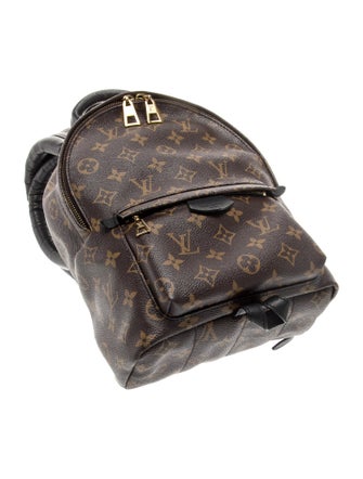 Louis Vuitton LV Monogram Palm Springs PM