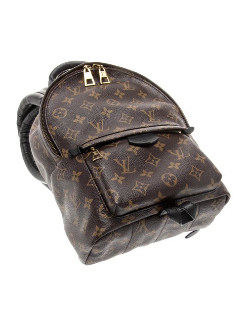Louis Vuitton LV Monogram Palm Springs PM