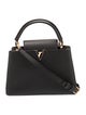 Louis Vuitton LV Monogram Capucines PM