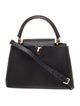 Louis Vuitton LV Monogram Capucines PM