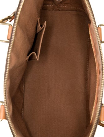 Louis Vuitton LV Monogram Alma PM