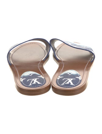 Louis Vuitton LV Monogram Slides