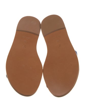 Louis Vuitton LV Monogram Slides