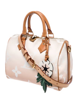 Louis Vuitton Monogram By The Pool Speedy Bandouliere 25