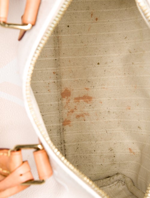 Louis Vuitton Monogram By The Pool Speedy Bandouliere 25