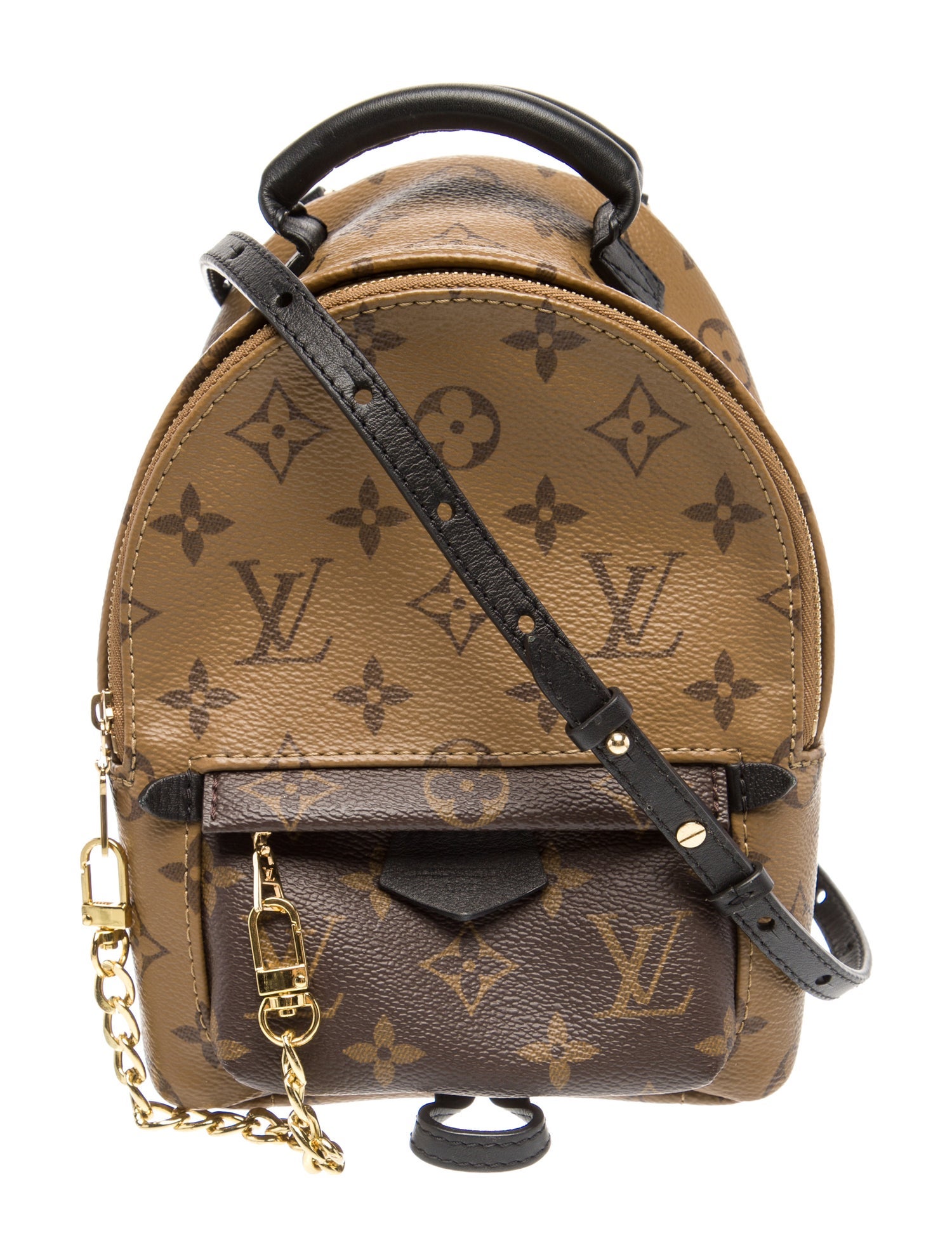 Louis Vuitton LV Monogram Palm Springs Mini