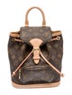 Louis Vuitton LV Monogram Montsouris Mini 2024