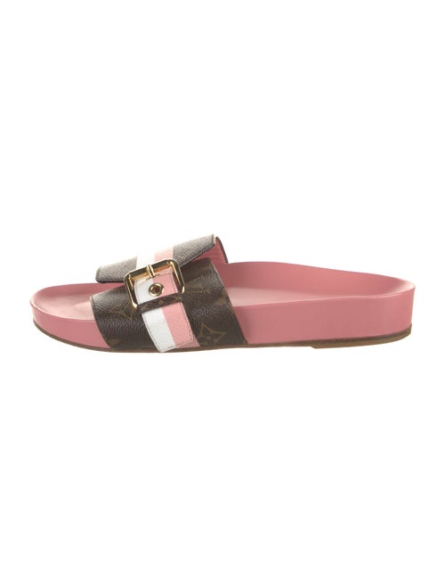 Louis Vuitton Printed Leather Trim Embellishment Slides