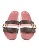 Louis Vuitton Printed Leather Trim Embellishment Slides