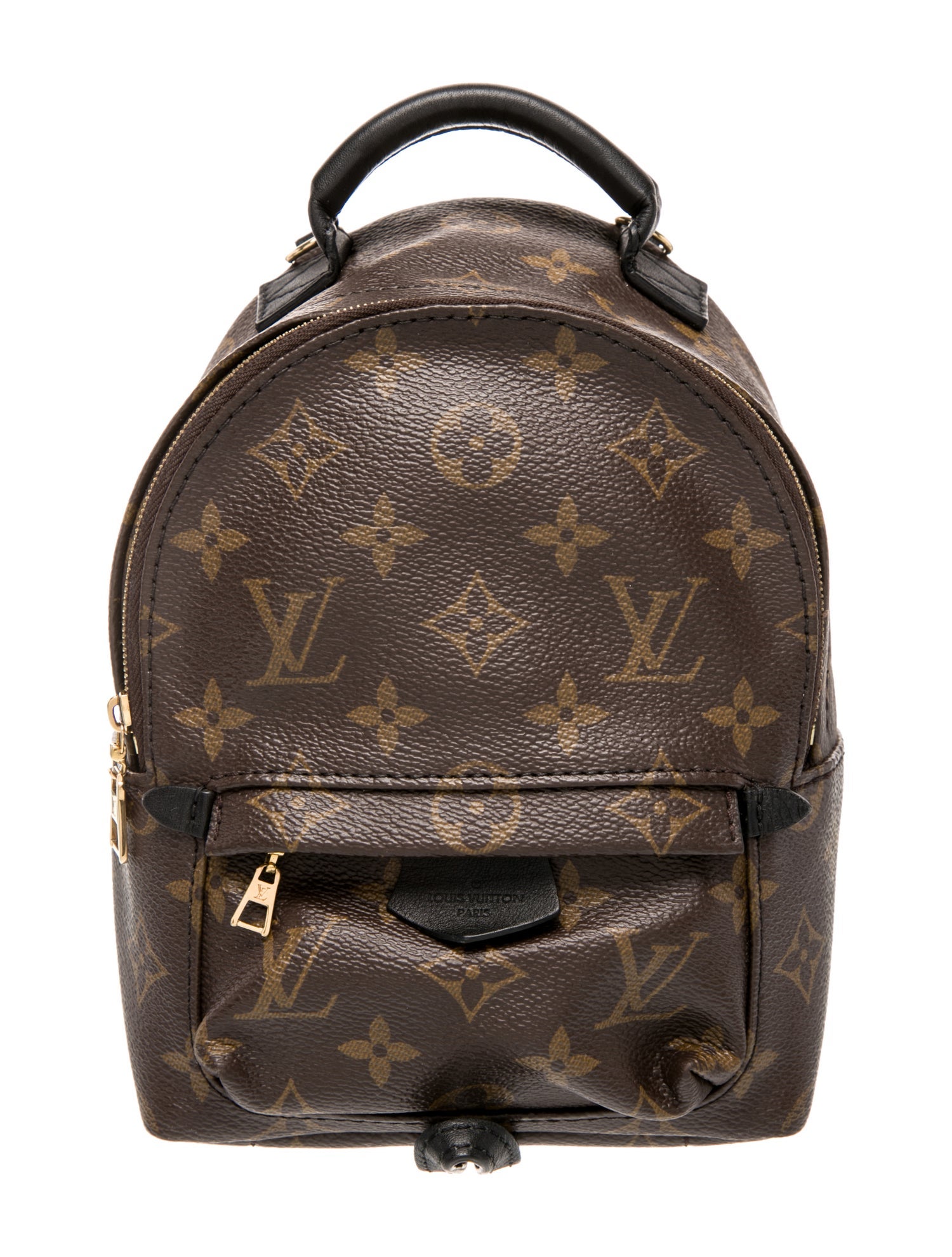 Louis Vuitton LV Monogram Palm Springs Mini