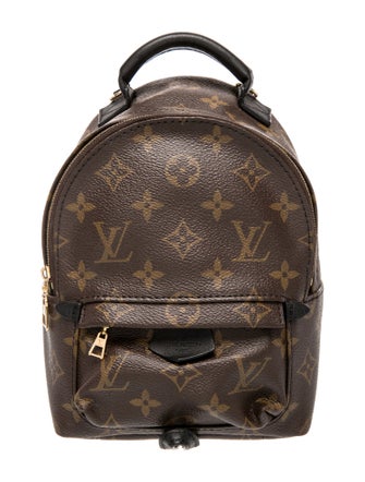 Louis Vuitton LV Monogram Palm Springs Mini