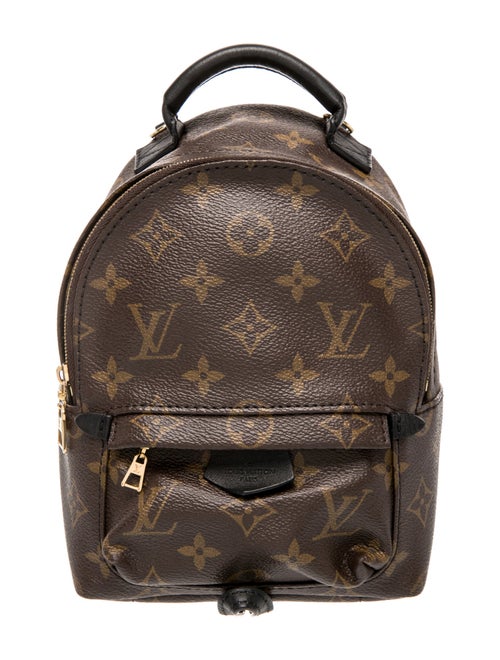 Louis Vuitton LV Monogram Palm Springs Mini