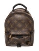 Louis Vuitton LV Monogram Palm Springs Mini