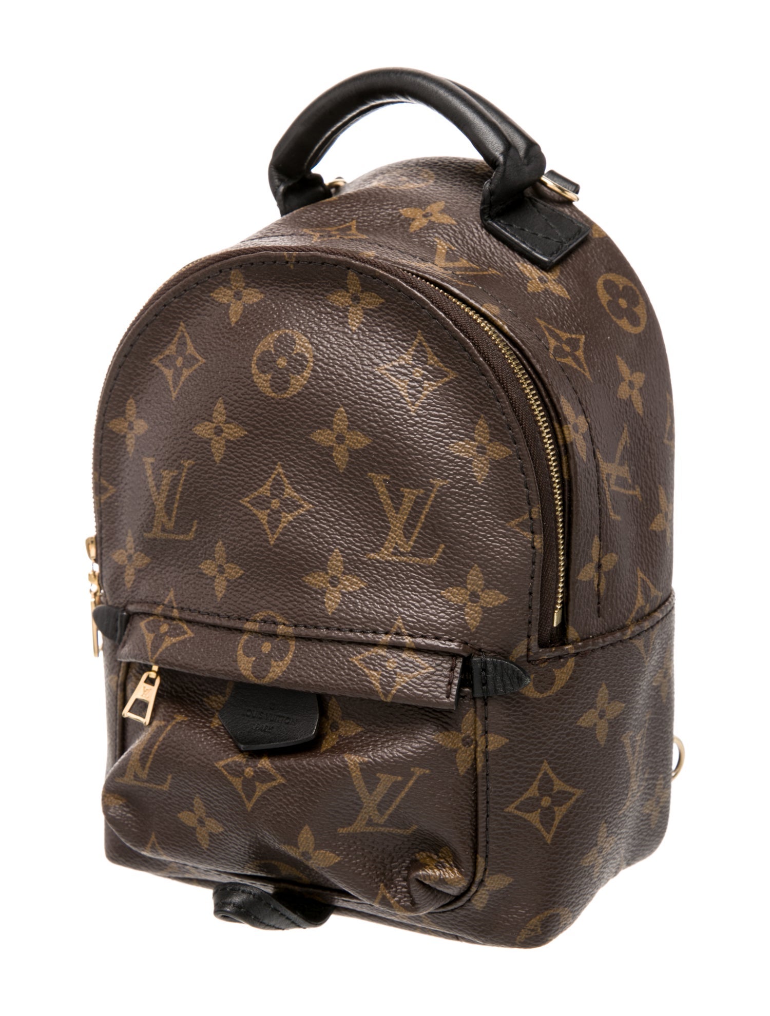 Louis Vuitton LV Monogram Palm Springs Mini