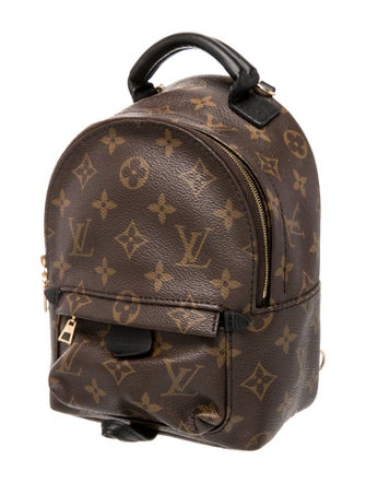 Louis Vuitton LV Monogram Palm Springs Mini