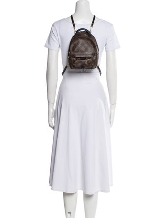 Louis Vuitton LV Monogram Palm Springs Mini