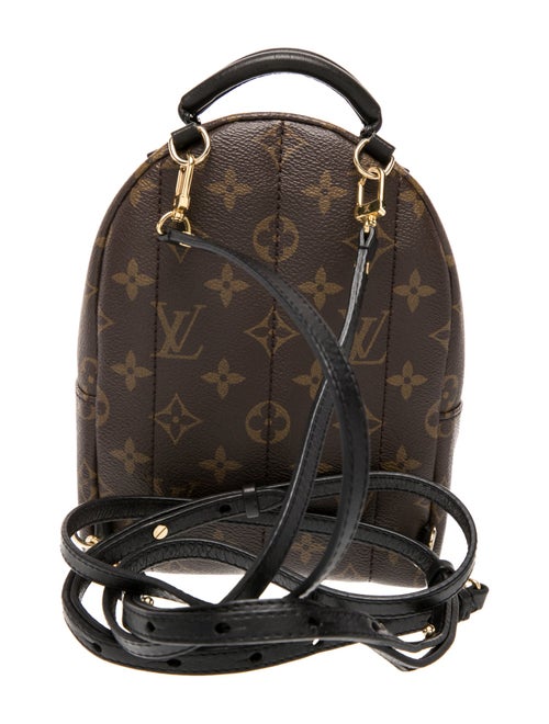 Louis Vuitton LV Monogram Palm Springs Mini