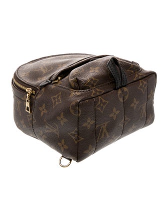 Louis Vuitton LV Monogram Palm Springs Mini