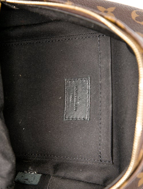 Louis Vuitton LV Monogram Palm Springs Mini