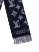 Louis Vuitton Shadow Monogram Pattern Scarf