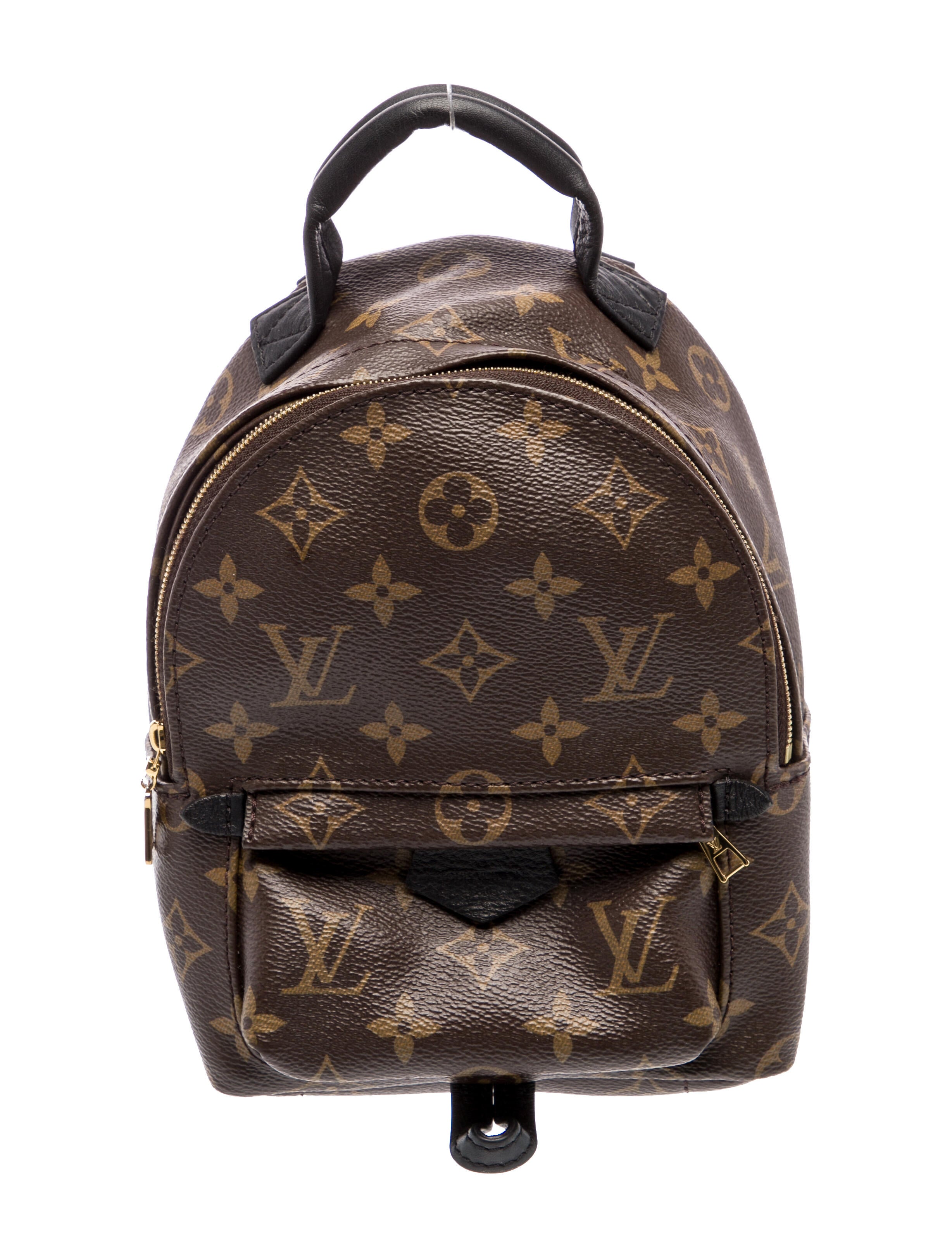 Louis Vuitton LV Monogram Palm Springs Mini