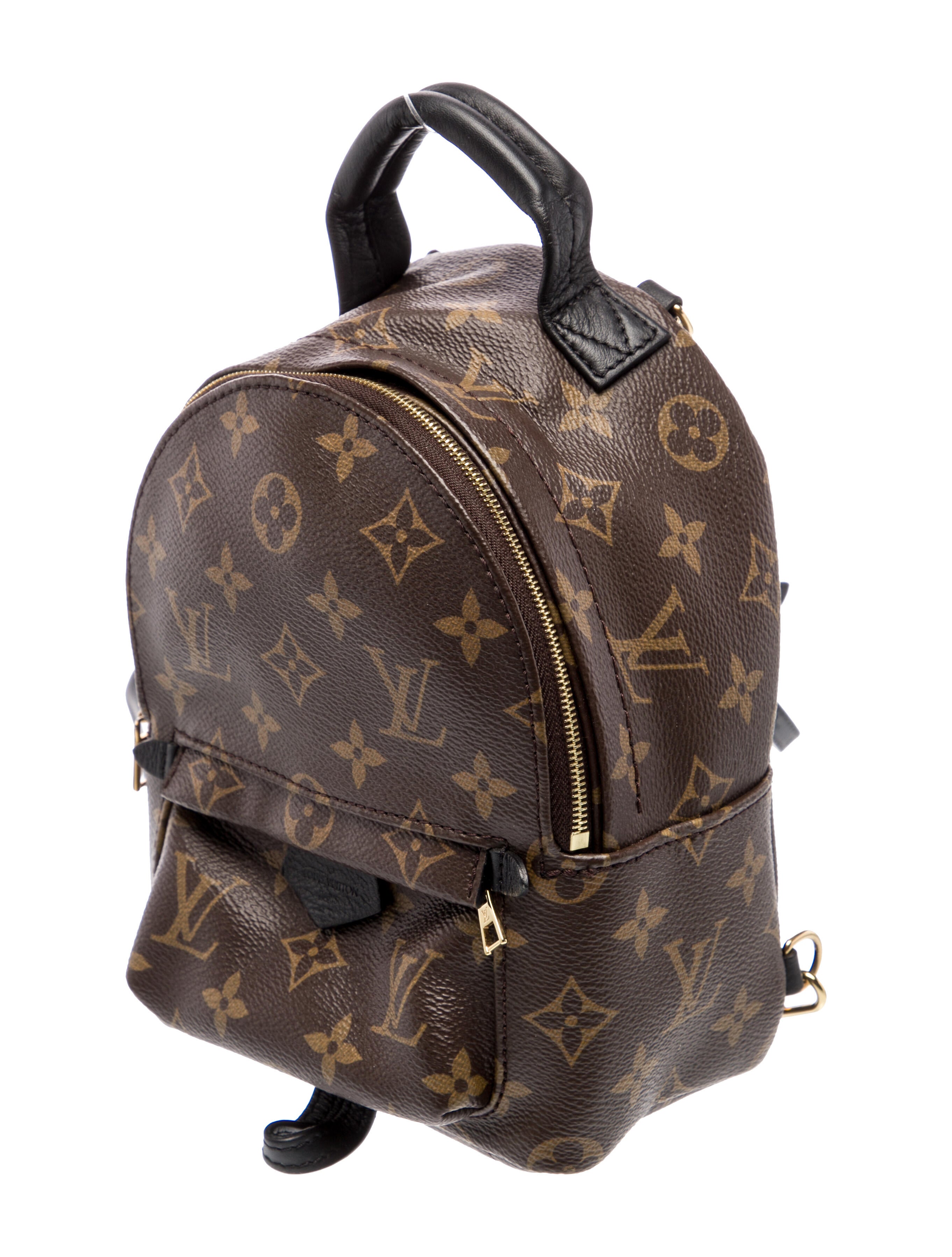 Louis Vuitton LV Monogram Palm Springs Mini