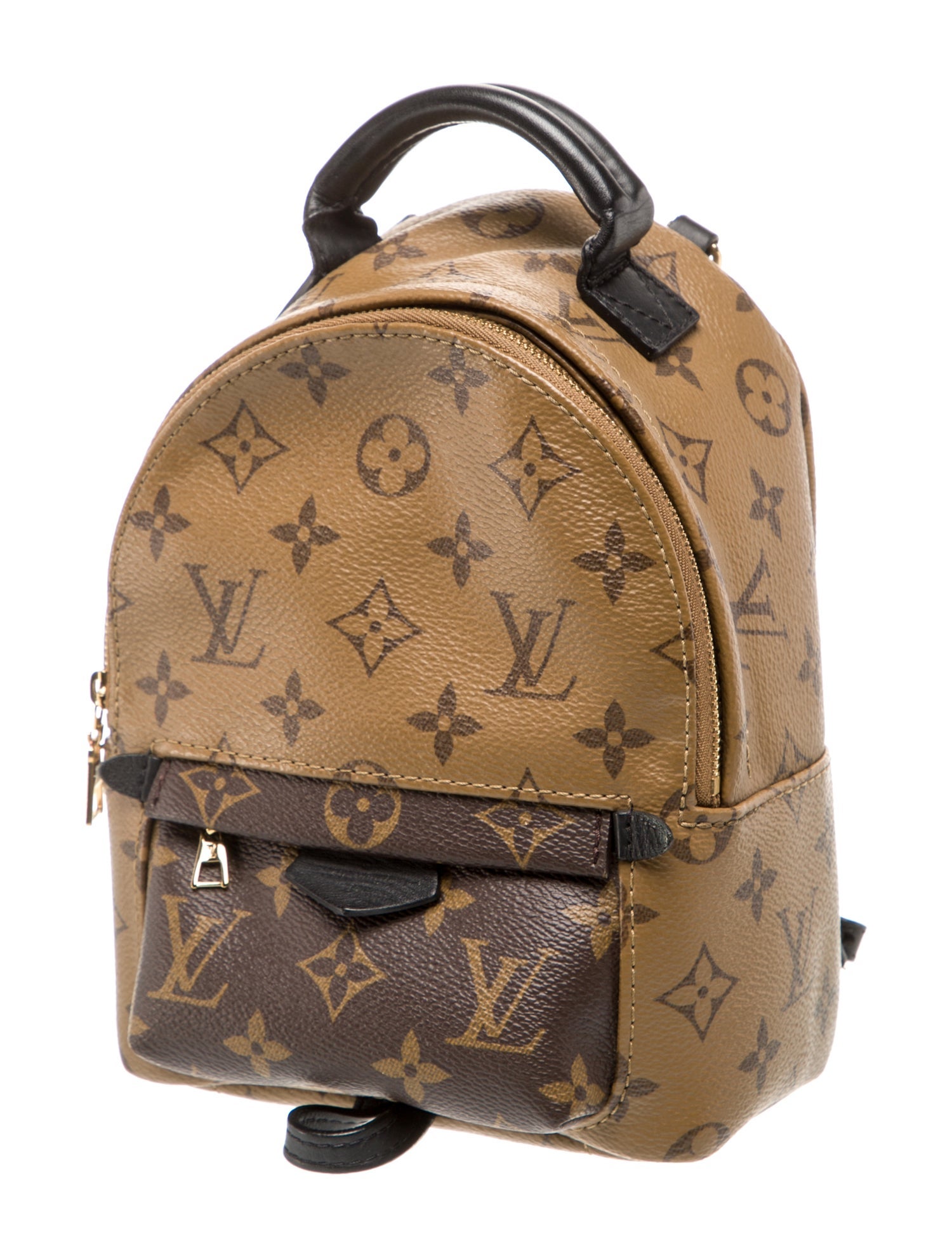 Louis Vuitton LV Monogram Palm Springs Mini