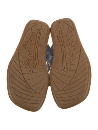 Louis Vuitton LV Monogram Denim Slides