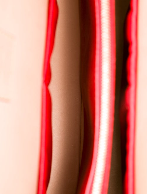 Louis Vuitton Monogram x Christian Louboutin Iconoclasts