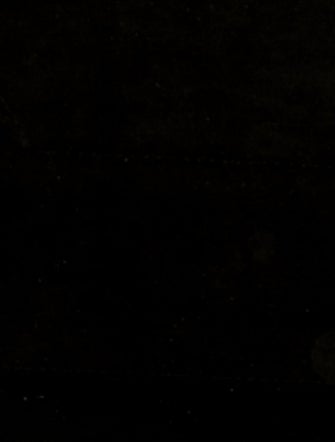 Louis Vuitton Python Lockme Cabas