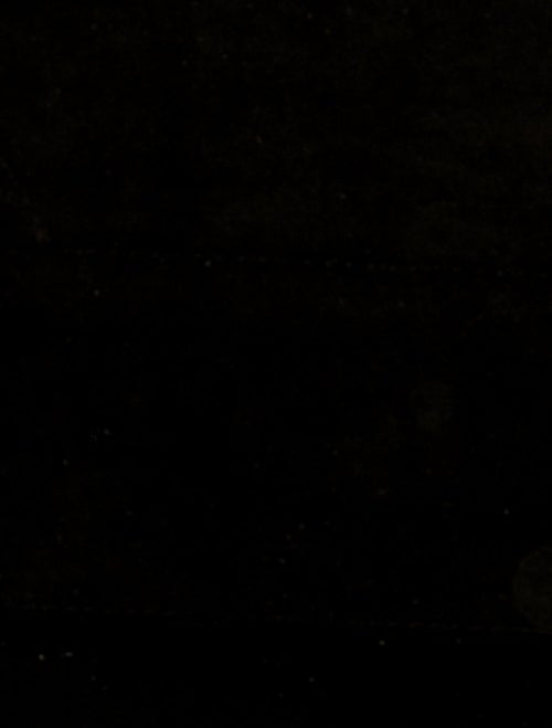 Louis Vuitton Python Lockme Cabas