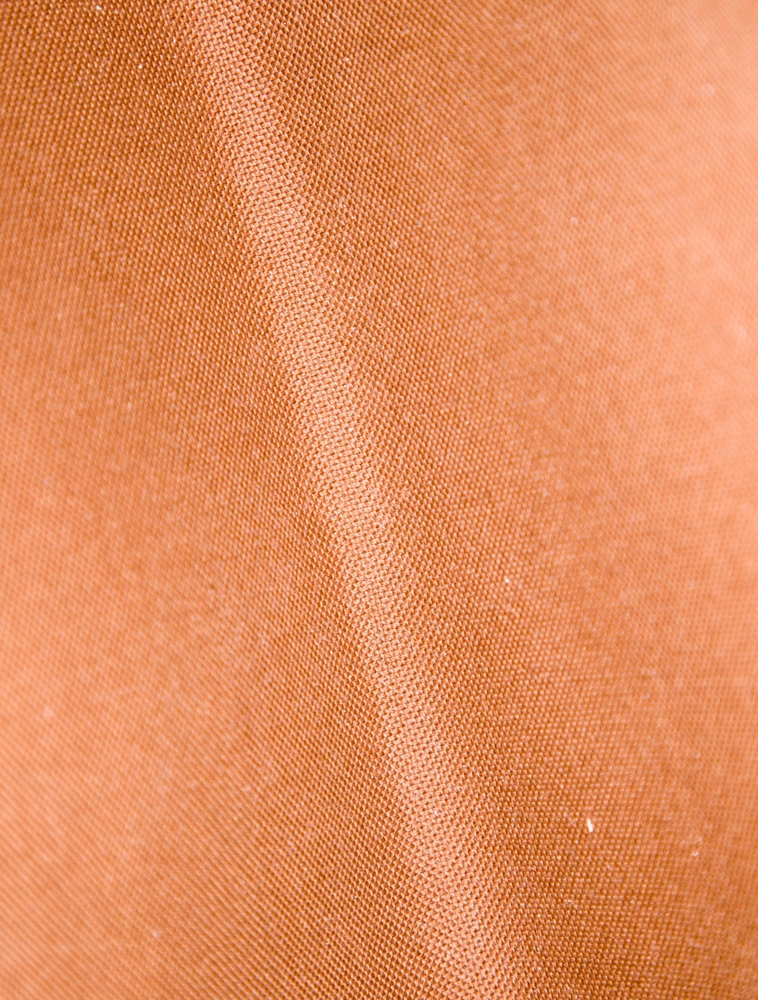 Louis Vuitton LV Monogram Eva Pochette