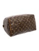 Louis Vuitton LV Monogram Speedy 30