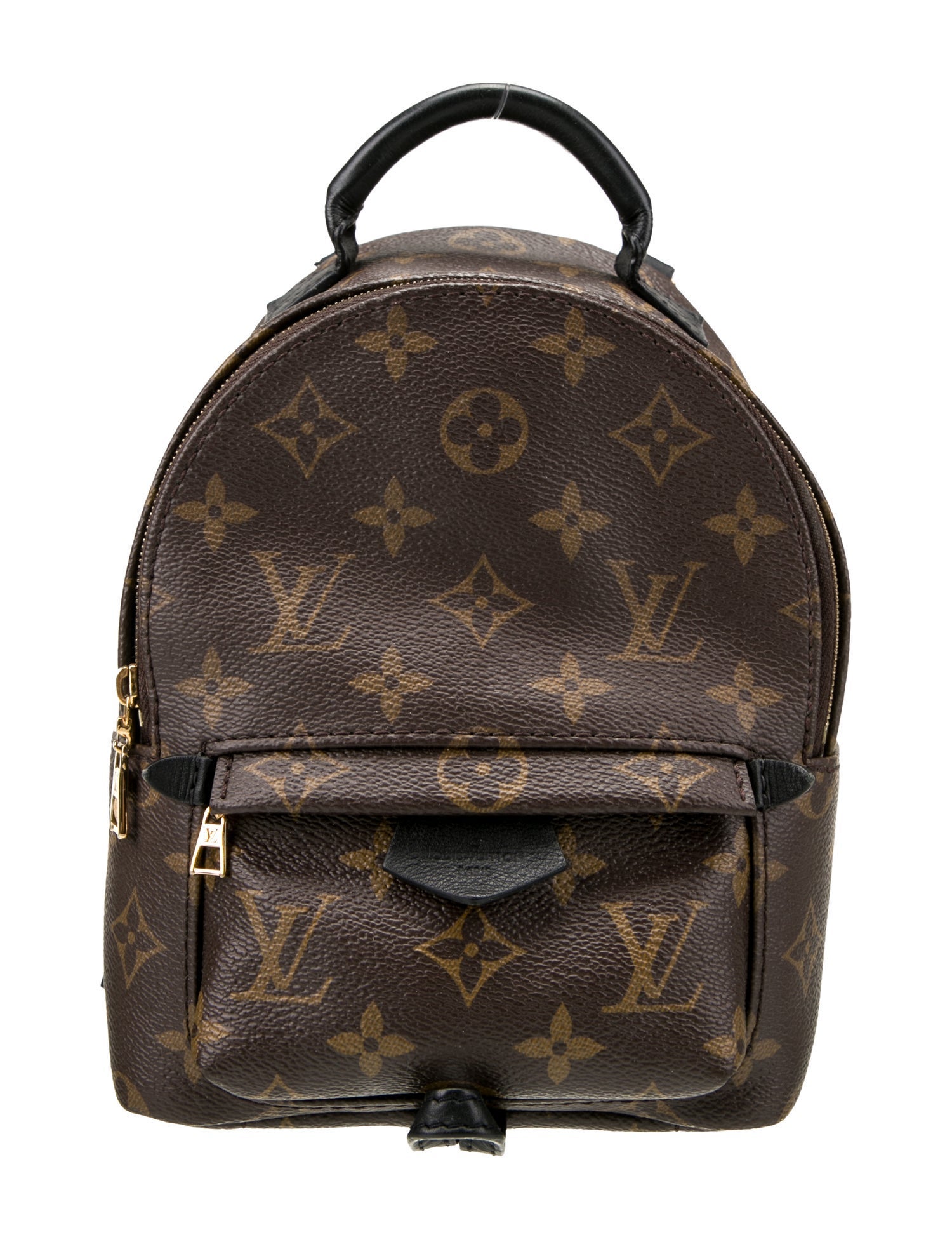 Louis Vuitton LV Monogram Palm Springs Mini