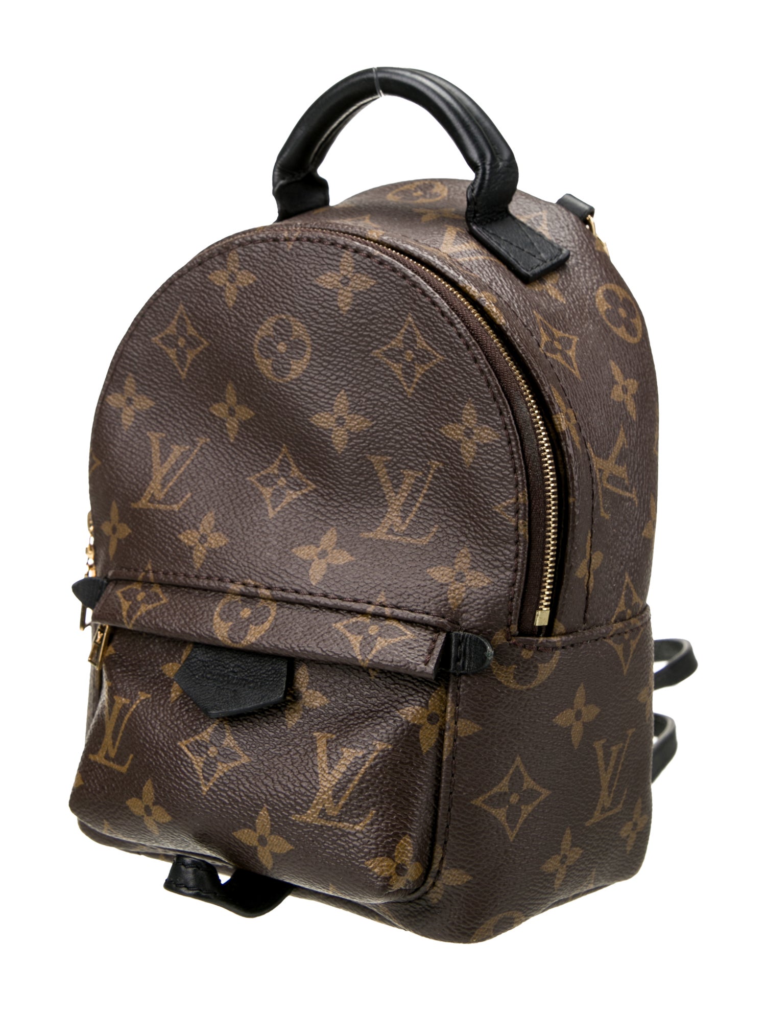 Louis Vuitton LV Monogram Palm Springs Mini
