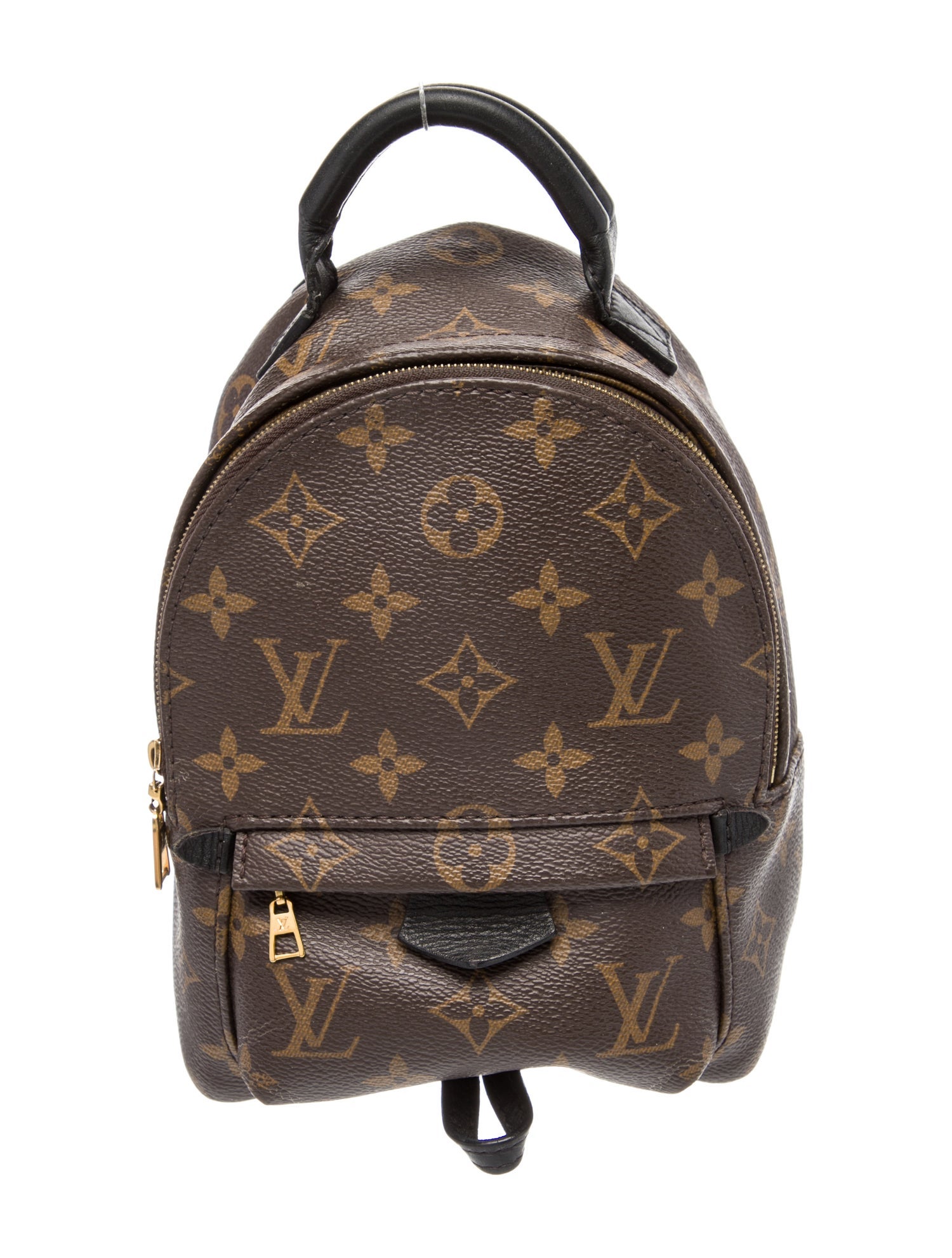 Louis Vuitton LV Monogram Palm Springs Mini